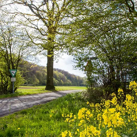 فندق Ringhotel Teutoburger Wald 4*